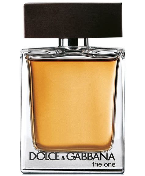 men perfume dolce gabbana|Dolce & Gabbana the one men's.